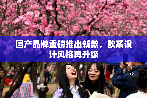 国产品牌重磅推出新款，欧系设计风格再升级