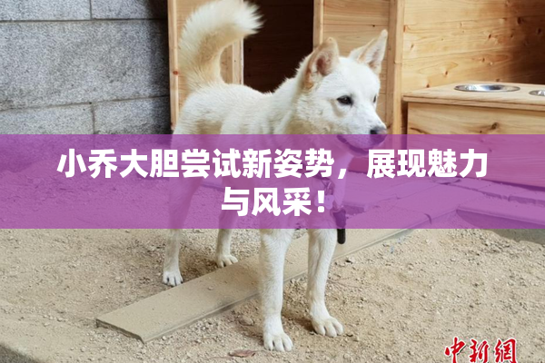小乔大胆尝试新姿势，展现魅力与风采！