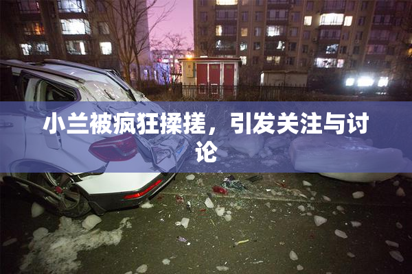 小兰被疯狂揉搓，引发关注与讨论