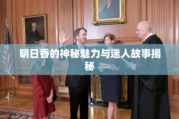 明日香的神秘魅力与迷人故事揭秘