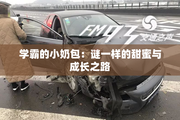 学霸的小奶包：谜一样的甜蜜与成长之路