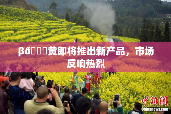 β🔞黄即将推出新产品，市场反响热烈