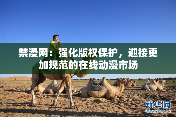 禁漫网：强化版权保护，迎接更加规范的在线动漫市场