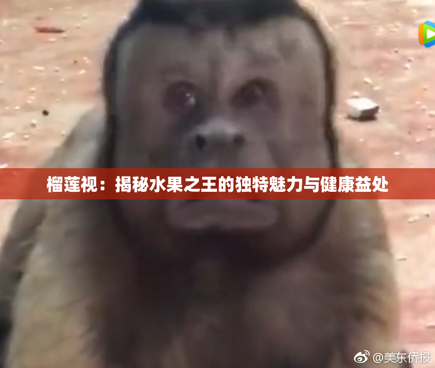 榴莲视：揭秘水果之王的独特魅力与健康益处