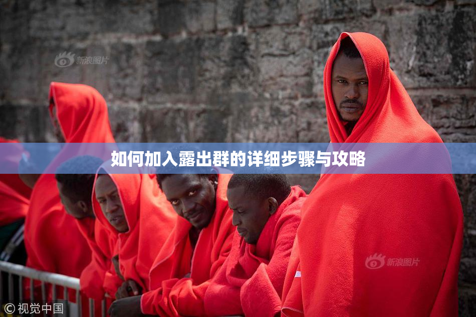 如何加入露出群的详细步骤与攻略