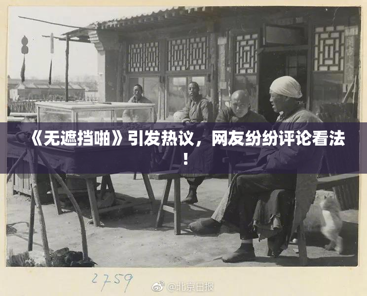 《无遮挡啪》引发热议，网友纷纷评论看法！