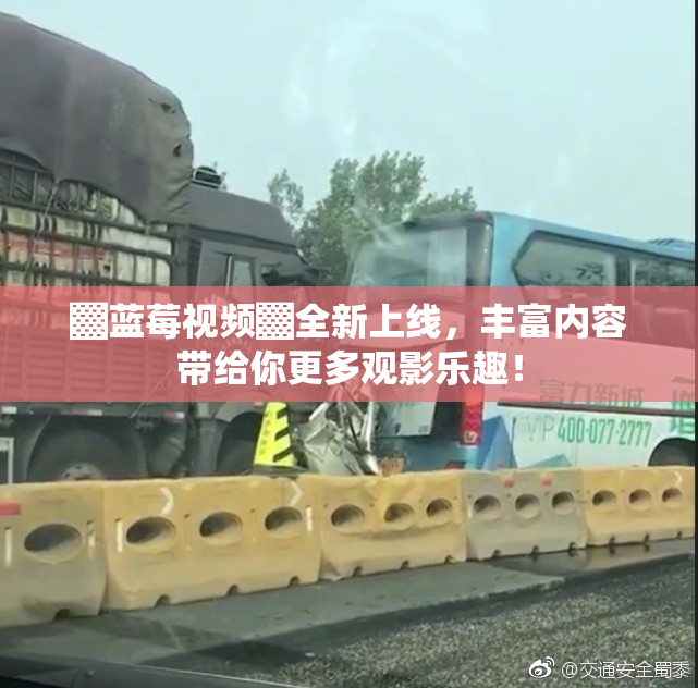 ▓蓝莓视频▓全新上线，丰富内容带给你更多观影乐趣！