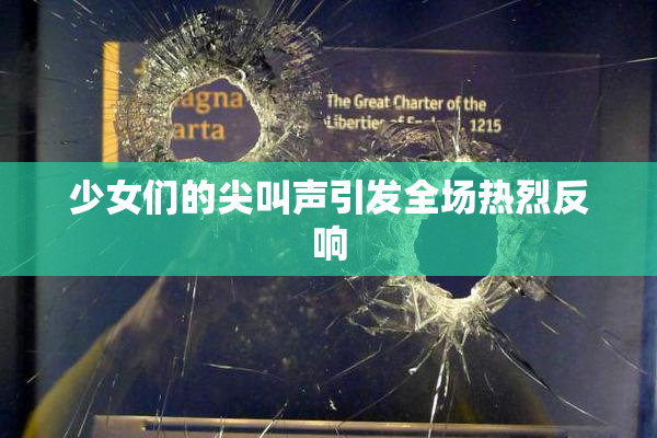 少女们的尖叫声引发全场热烈反响
