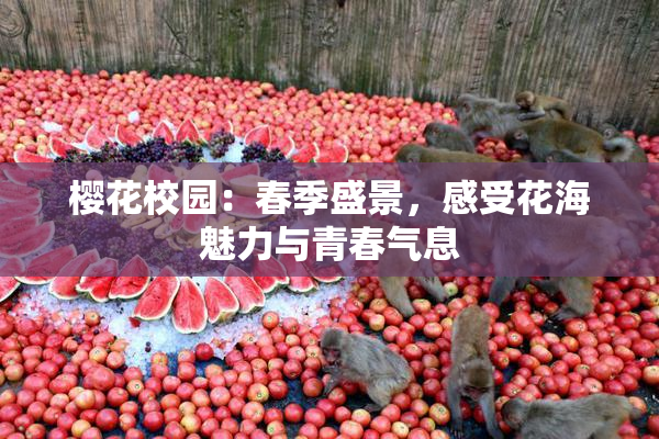 樱花校园：春季盛景，感受花海魅力与青春气息