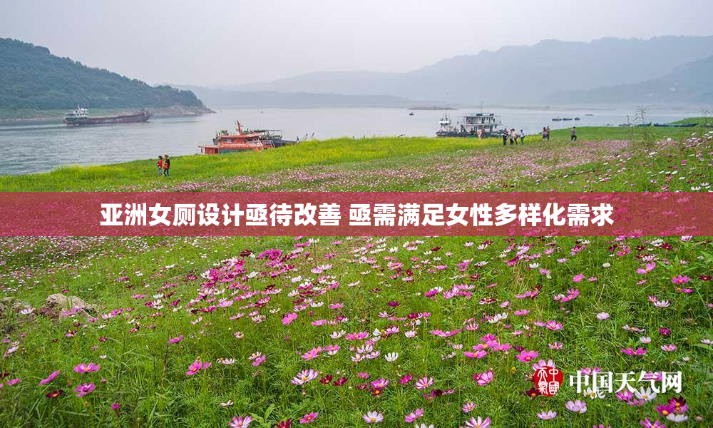 亚洲女厕设计亟待改善 亟需满足女性多样化需求