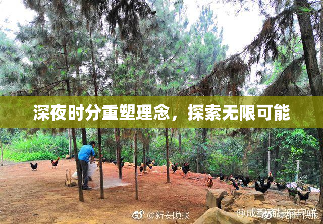 深夜时分重塑理念，探索无限可能