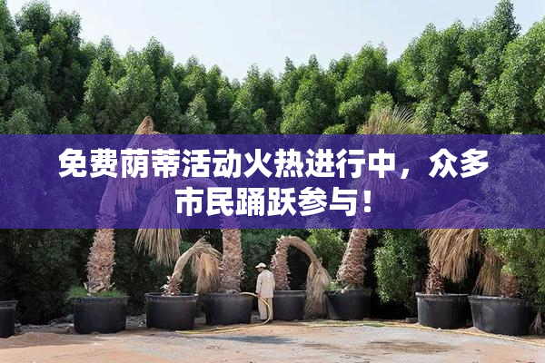 免费荫蒂活动火热进行中，众多市民踊跃参与！