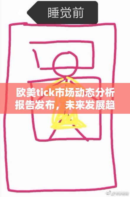 欧美tick市场动态分析报告发布，未来发展趋势揭示