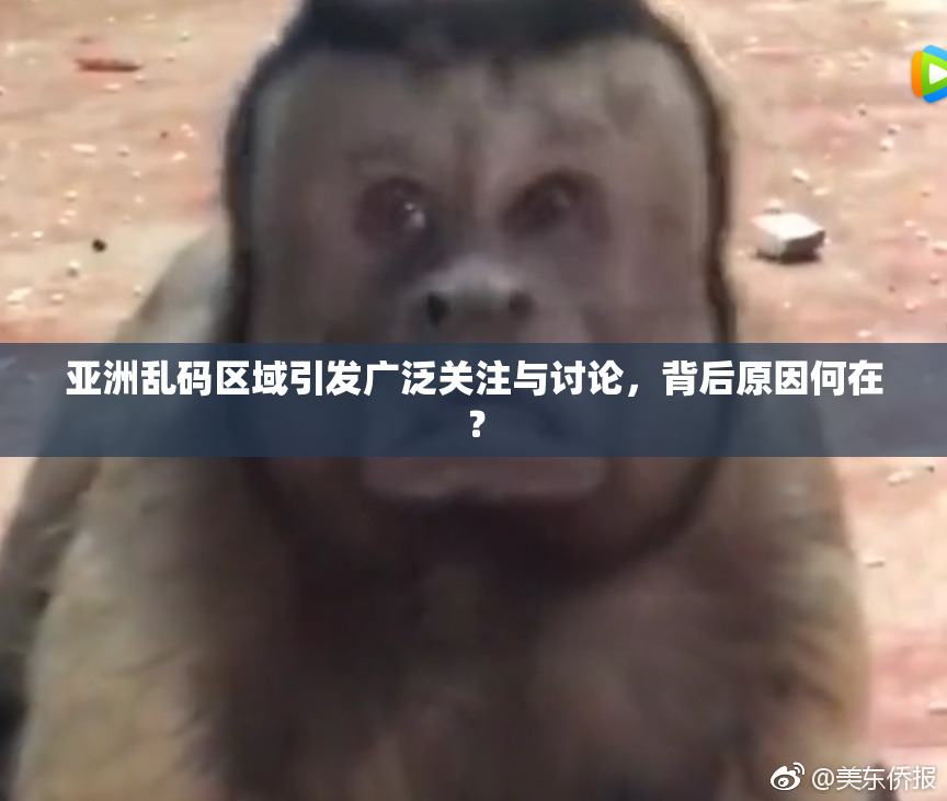 亚洲乱码区域引发广泛关注与讨论，背后原因何在？