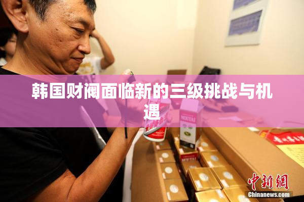 韩国财阀面临新的三级挑战与机遇