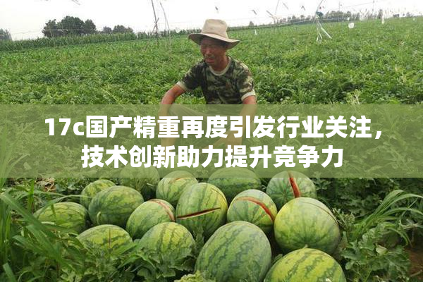 17c国产精重再度引发行业关注，技术创新助力提升竞争力
