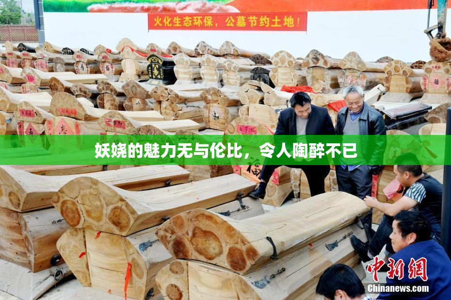 妖娆的魅力无与伦比，令人陶醉不已