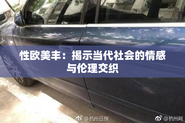 性欧美丰：揭示当代社会的情感与伦理交织