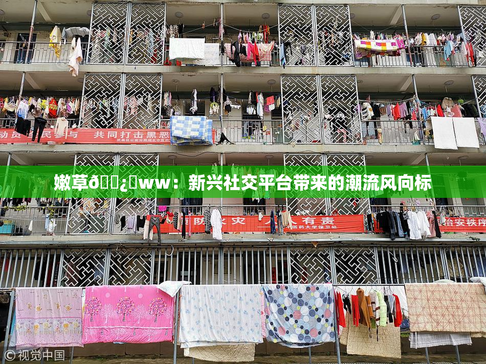 嫩草🌿‌ww：新兴社交平台带来的潮流风向标