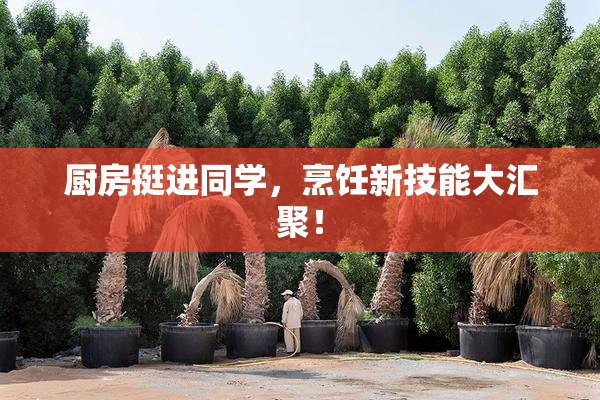 厨房挺进同学，烹饪新技能大汇聚！