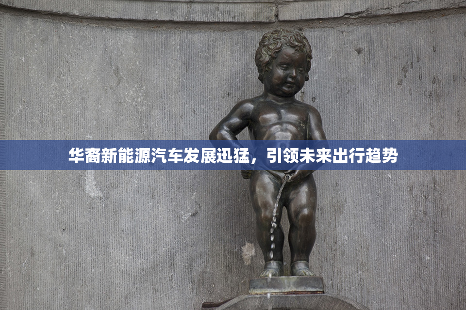 华裔新能源汽车发展迅猛，引领未来出行趋势