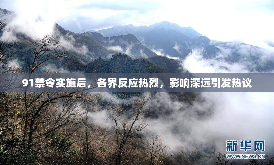 91禁令实施后，各界反应热烈，影响深远引发热议