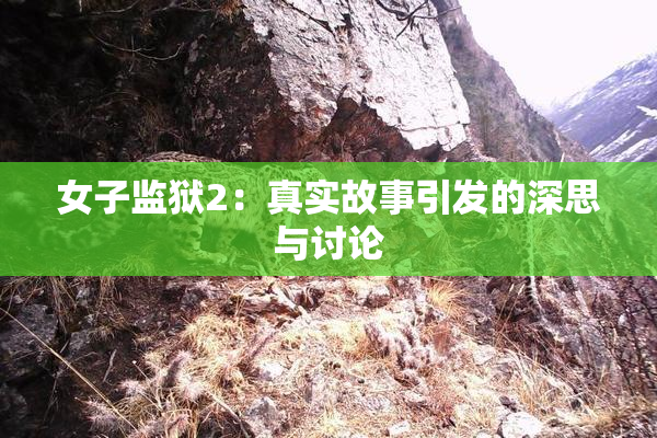 女子监狱2：真实故事引发的深思与讨论