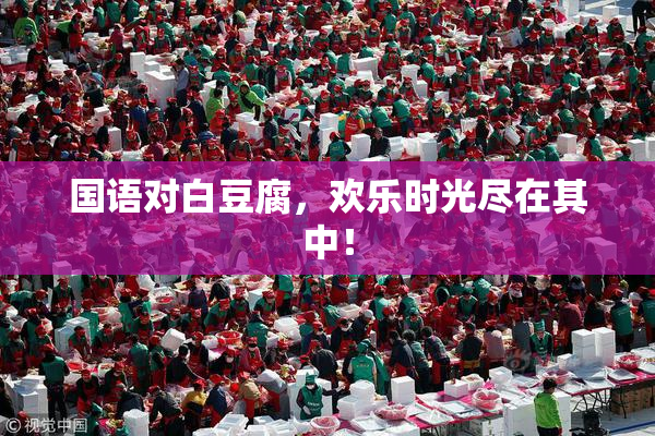 国语对白豆腐，欢乐时光尽在其中！