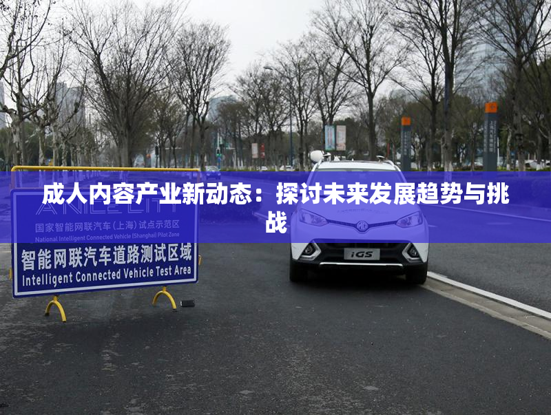 成人内容产业新动态：探讨未来发展趋势与挑战