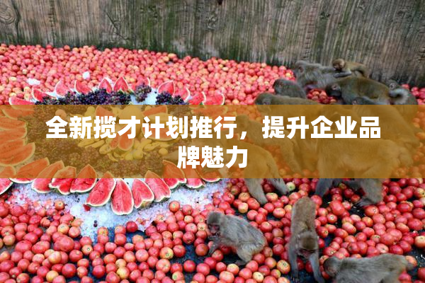 全新揽才计划推行，提升企业品牌魅力