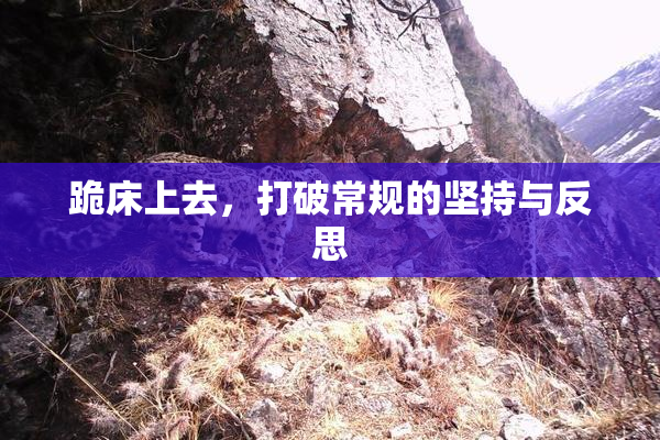 跪床上去，打破常规的坚持与反思