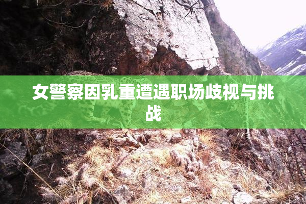 女警察因乳重遭遇职场歧视与挑战
