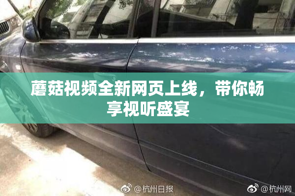 蘑菇视频全新网页上线，带你畅享视听盛宴