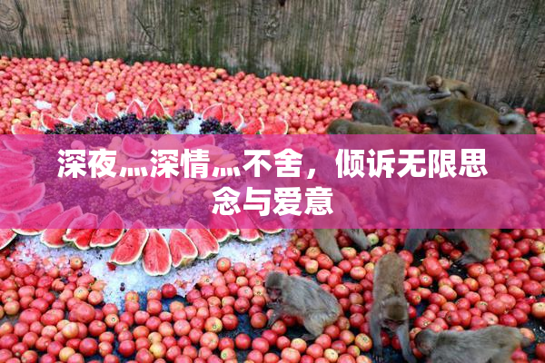 深夜灬深情灬不舍，倾诉无限思念与爱意