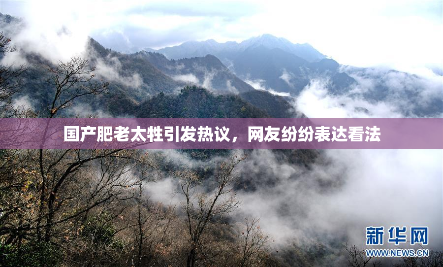 国产肥老太牲引发热议，网友纷纷表达看法
