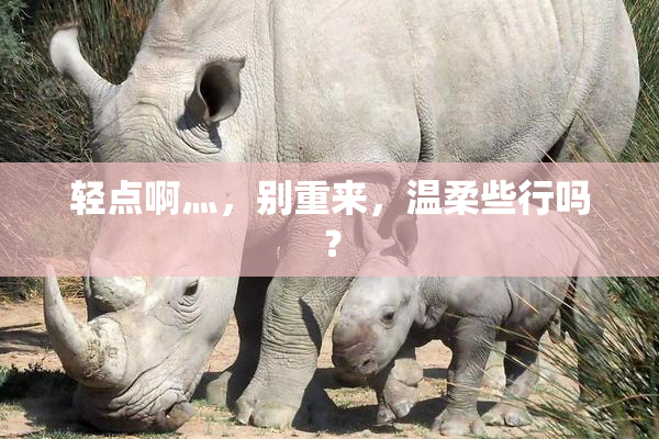 轻点啊灬，别重来，温柔些行吗？