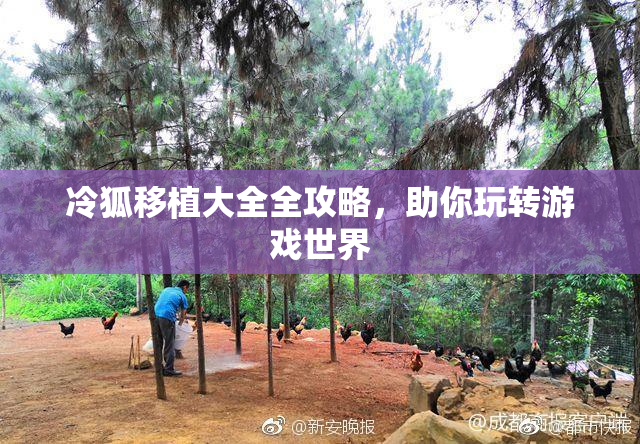 冷狐移植大全全攻略，助你玩转游戏世界