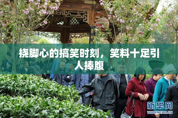 挠脚心的搞笑时刻，笑料十足引人捧腹