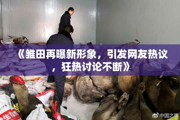 《雏田再曝新形象，引发网友热议，狂热讨论不断》