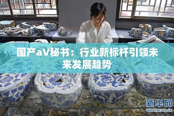 国产aV秘书：行业新标杆引领未来发展趋势