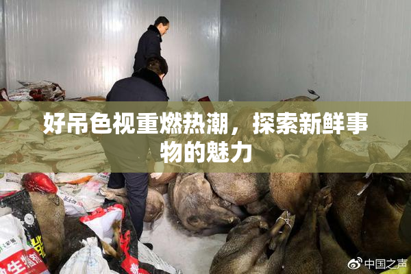 好吊色视重燃热潮，探索新鲜事物的魅力