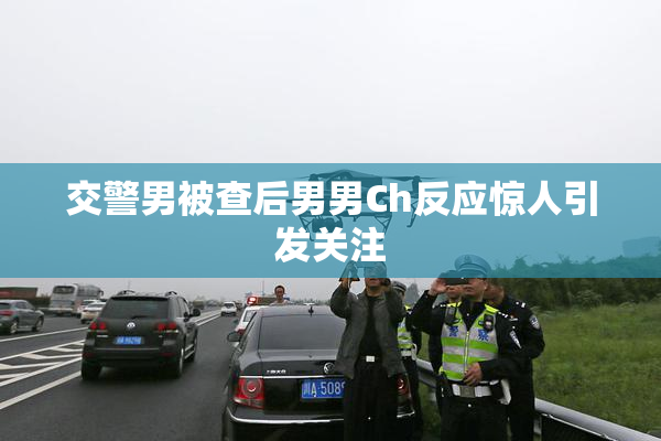 交警男被查后男男Ch反应惊人引发关注