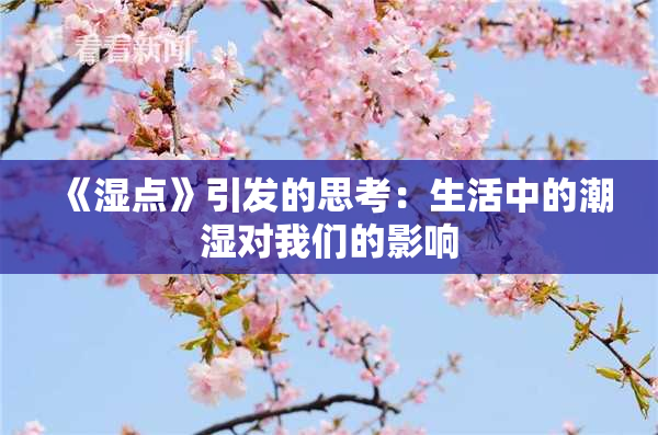 《湿点》引发的思考：生活中的潮湿对我们的影响