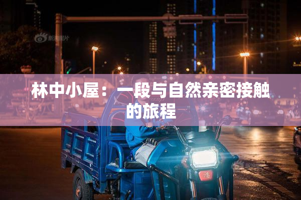 林中小屋：一段与自然亲密接触的旅程