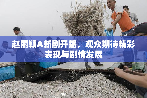 赵丽颖A新剧开播，观众期待精彩表现与剧情发展