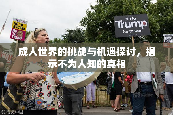 成人世界的挑战与机遇探讨，揭示不为人知的真相