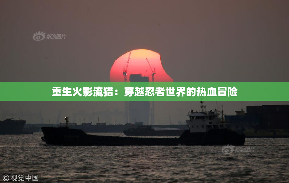 重生火影流猎：穿越忍者世界的热血冒险