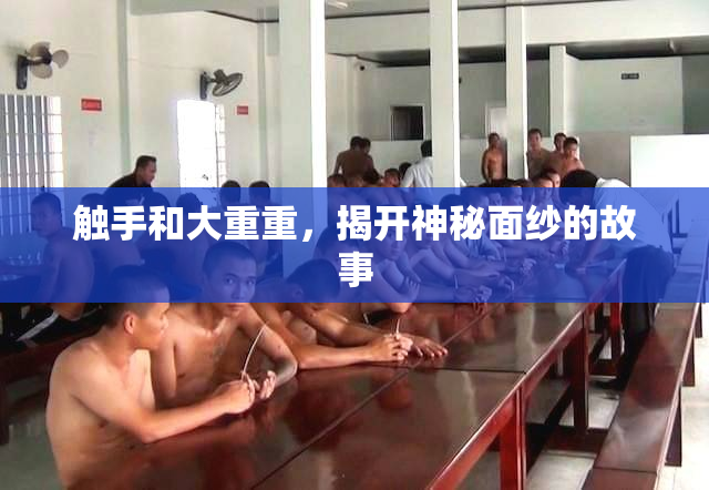 触手和大重重，揭开神秘面纱的故事
