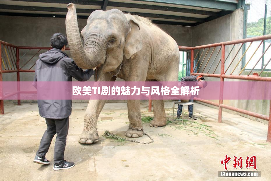 欧美TI剧的魅力与风格全解析