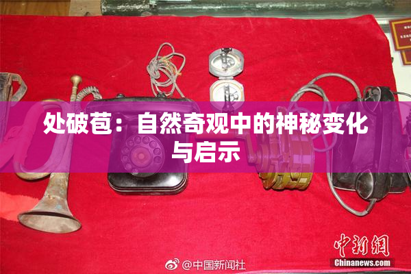 处破苞：自然奇观中的神秘变化与启示